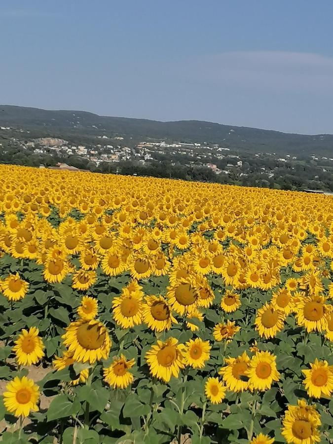Charmante Maison Avec Terrasse Aux Portes De L'Ardeche ปอง-แซ็ง-เอสปริ ภายนอก รูปภาพ